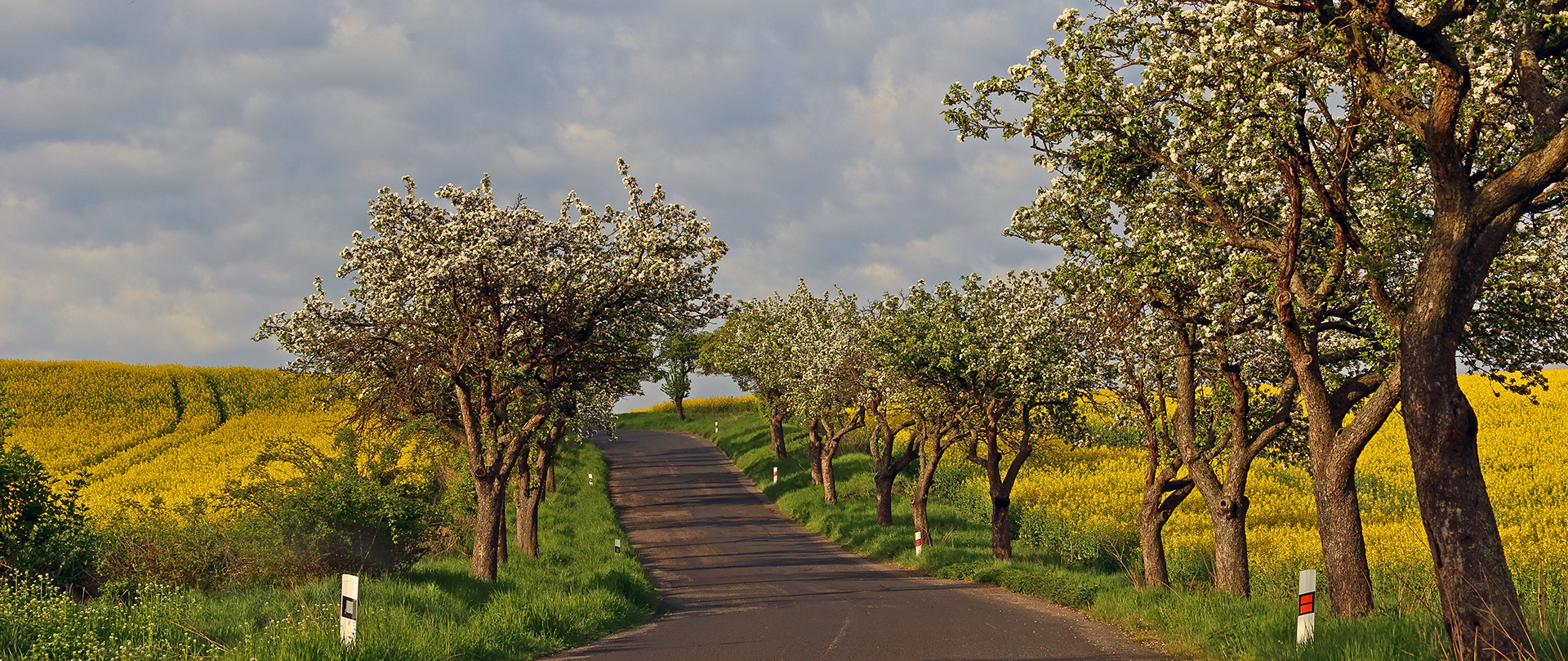 Frühling in Böhmen beim Vrsetin der sich weiter links befindet