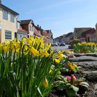 Frühling in Bogense