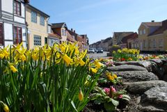 Frühling in Bogense