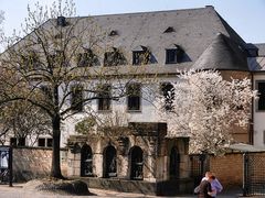 Frühling in Bonn