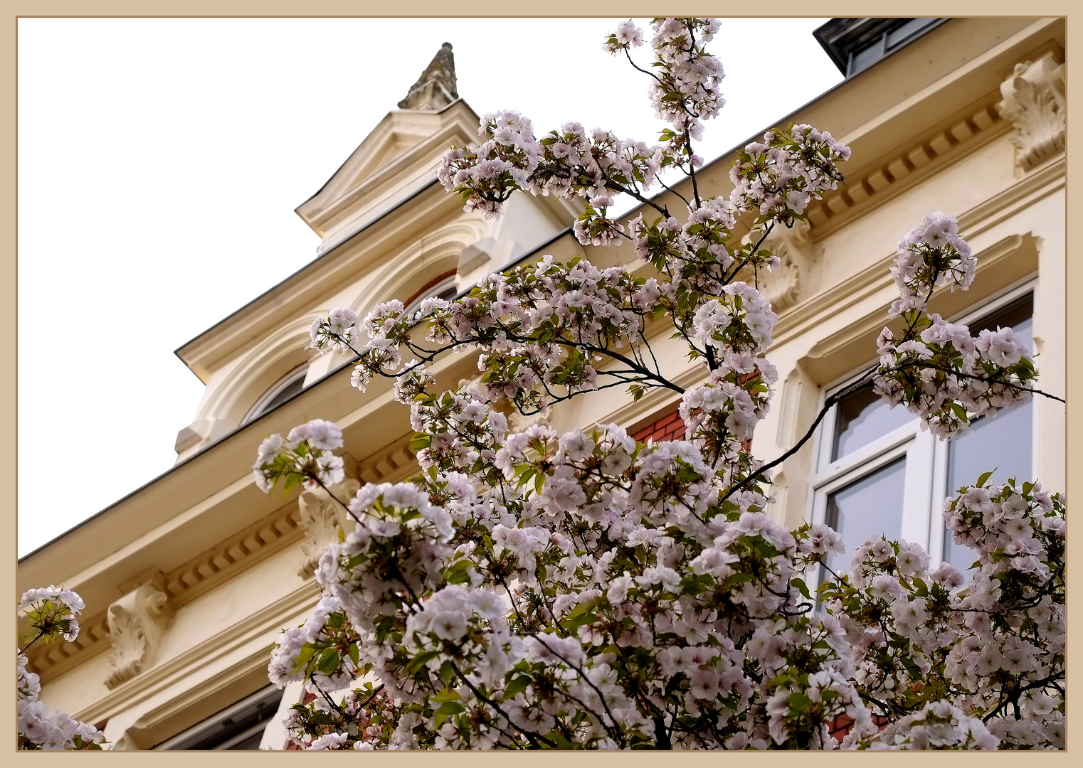 Frühling in Bonn