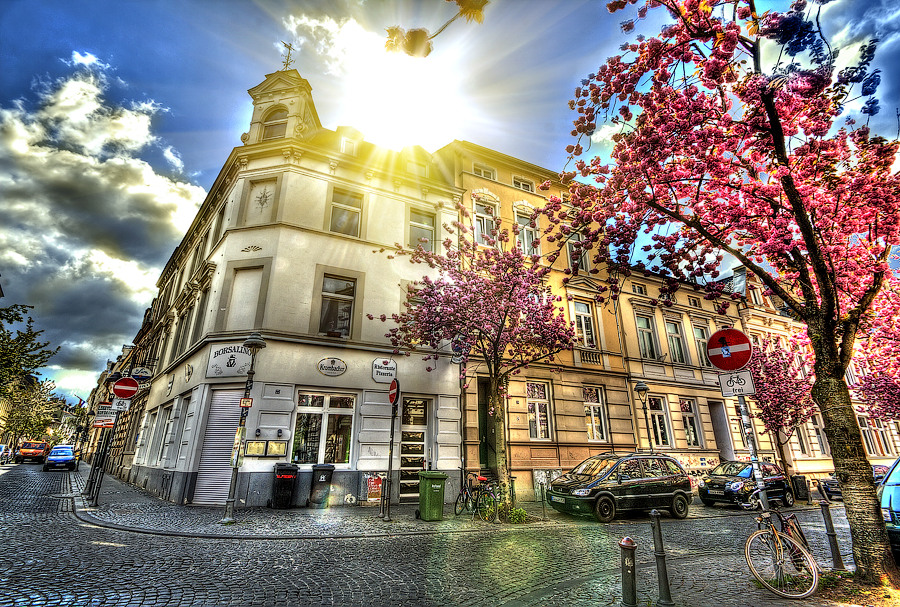 Frühling in Bonn