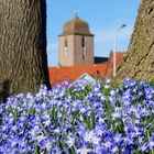 Frühling in Borgentreich 1