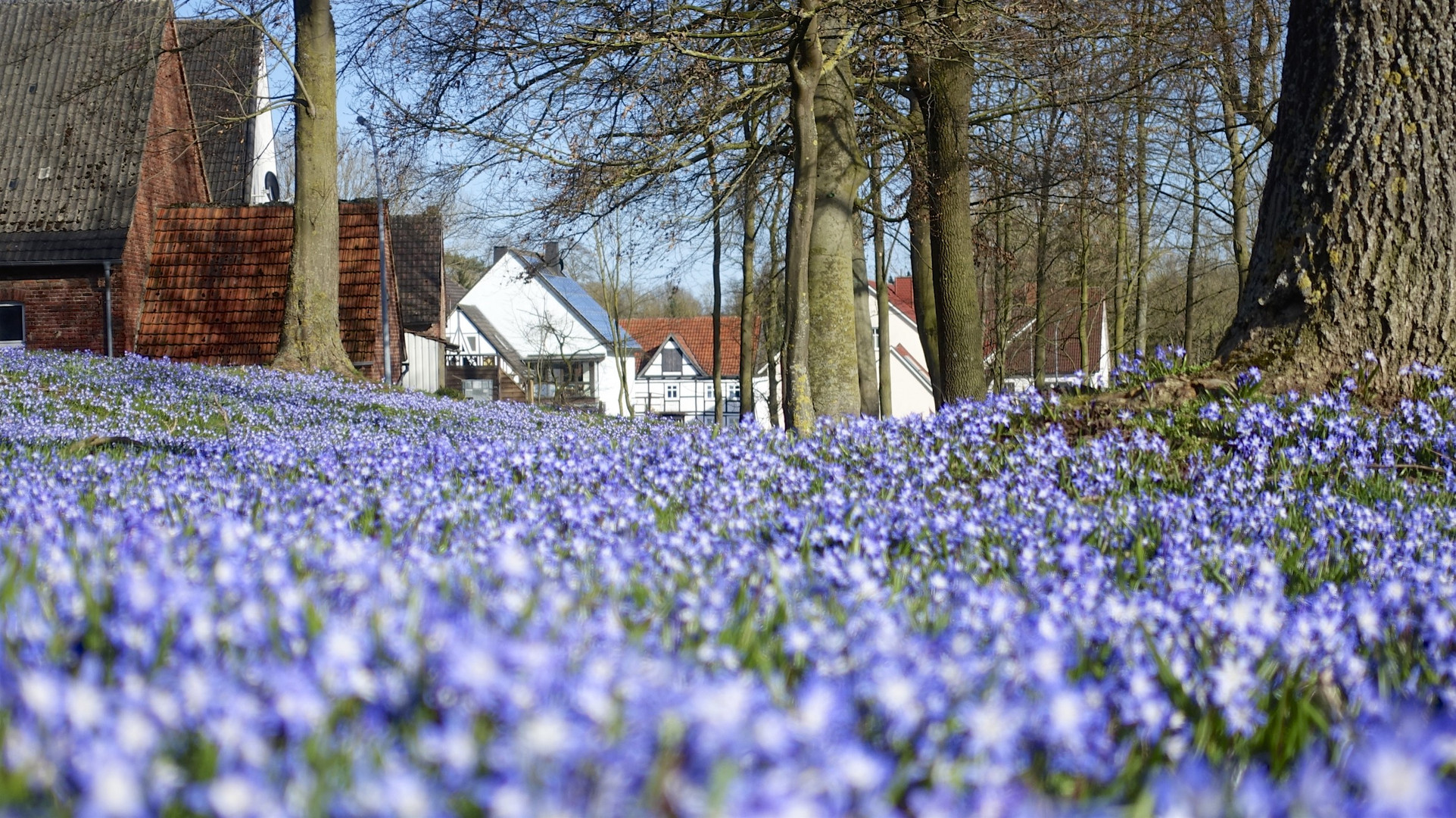 Frühling in Borgentreich 2