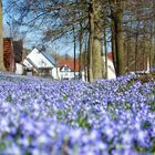 Frühling in Borgentreich 2