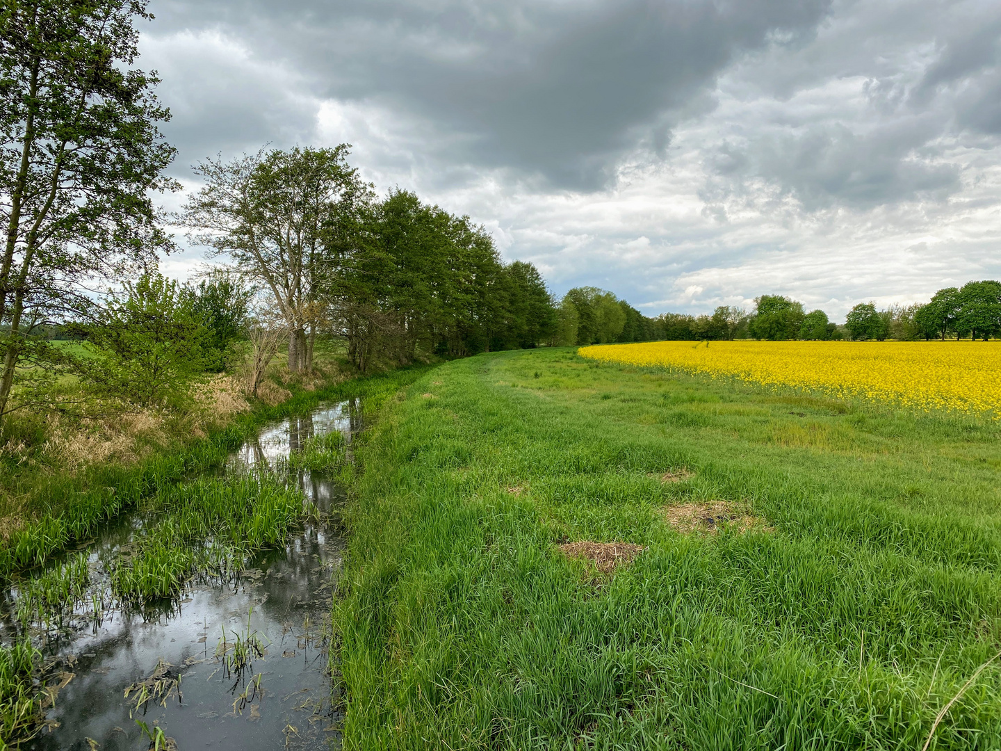 Frühling in Brandenburg