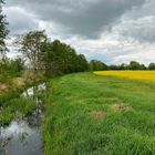 Frühling in Brandenburg