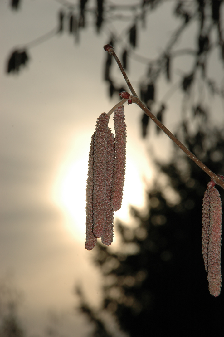 Frühling in Brandenburg