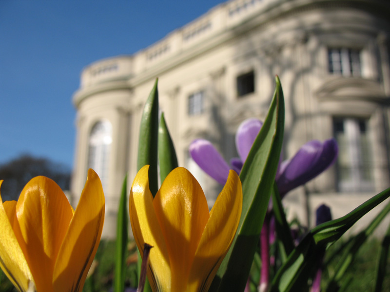 Frühling in Braunschweig