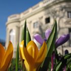 Frühling in Braunschweig