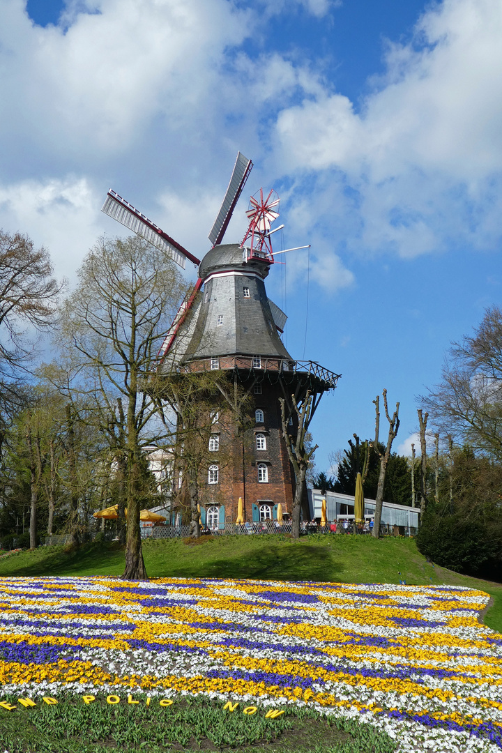 Frühling in Bremen