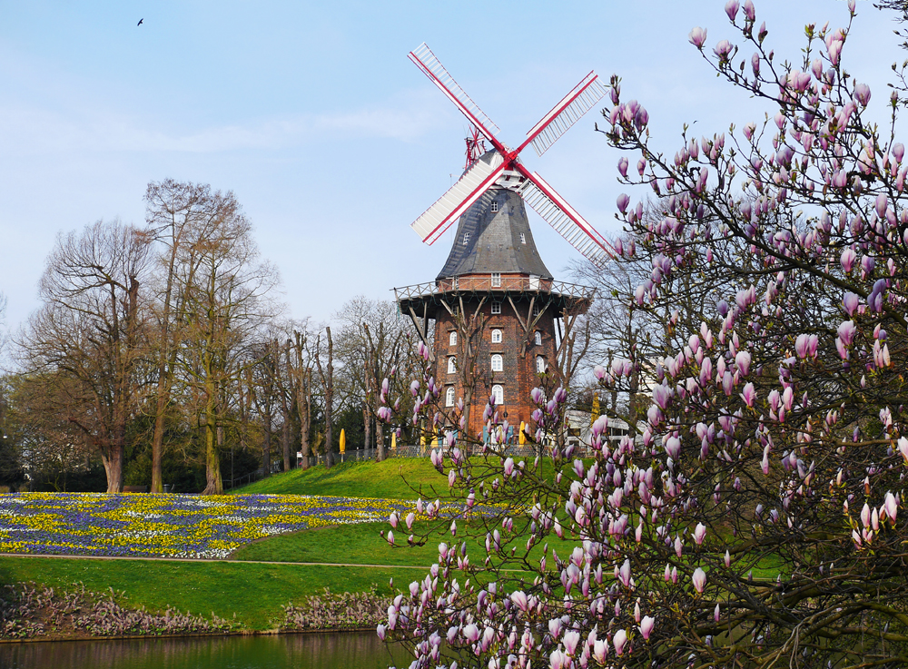 Frühling in Bremen