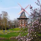 Frühling in Bremen