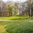 Frühling in Bremen