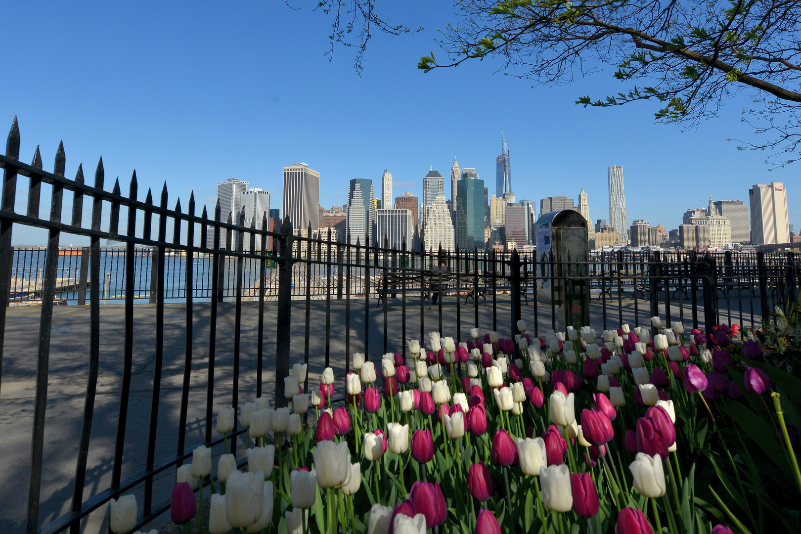 Frühling in Brooklyn