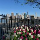 Frühling in Brooklyn