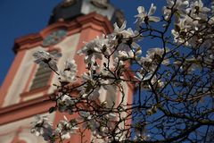 Frühling in Bruchsal