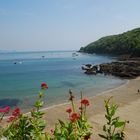 Frühling in Cawsand