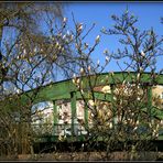 frühling in charlottenburg