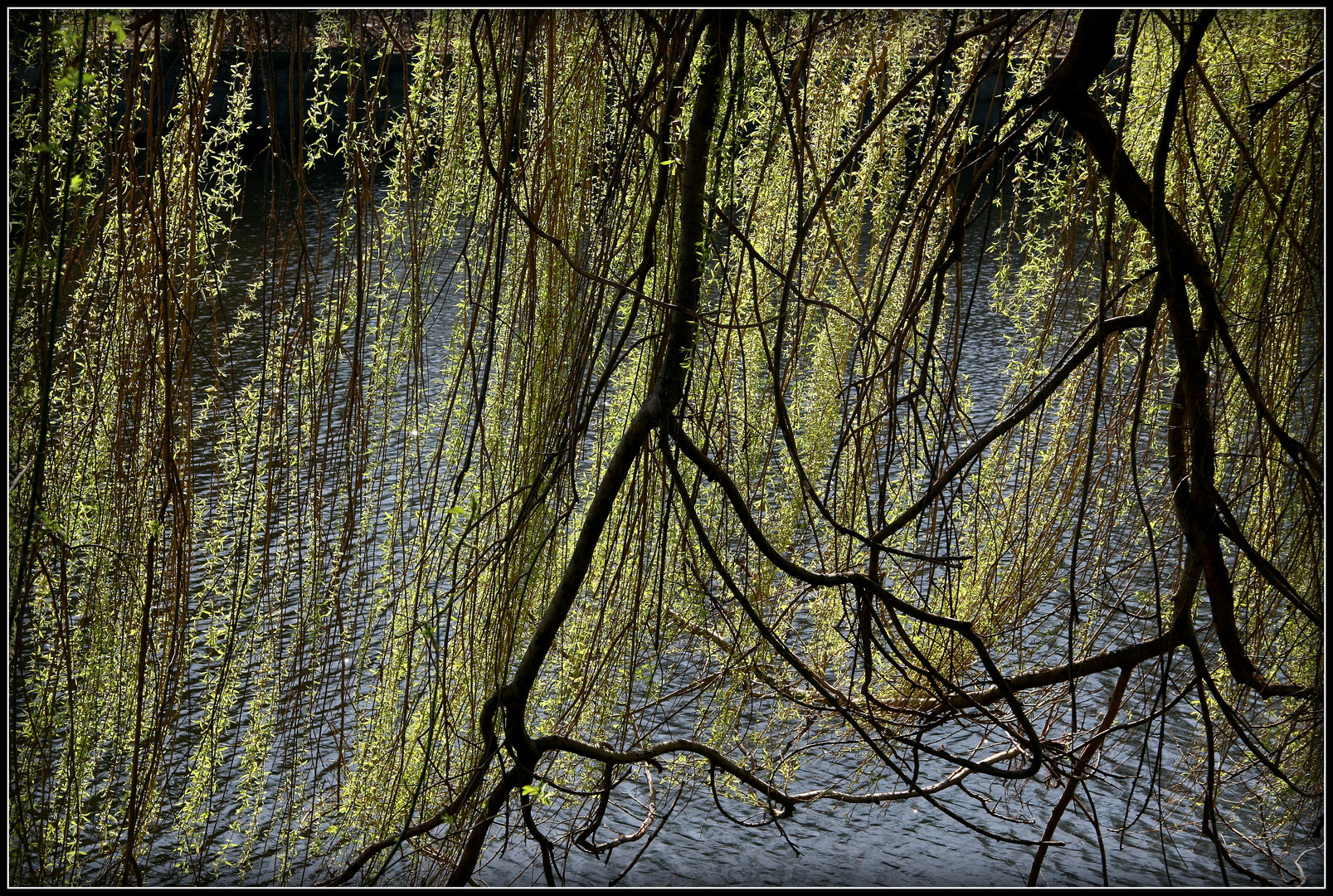 frühling in charlottenburg.