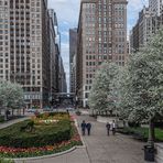 Frühling in Chicago im Mai