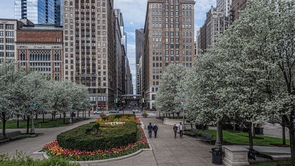 Frühling in Chicago im Mai