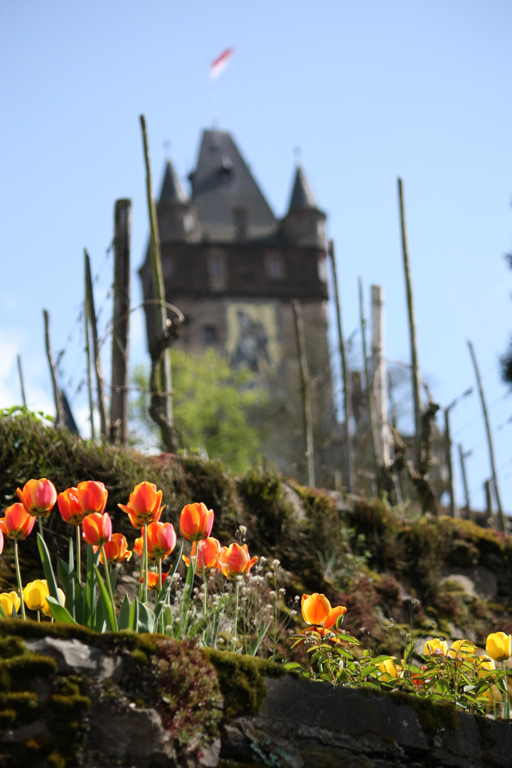 Frühling in Cochem