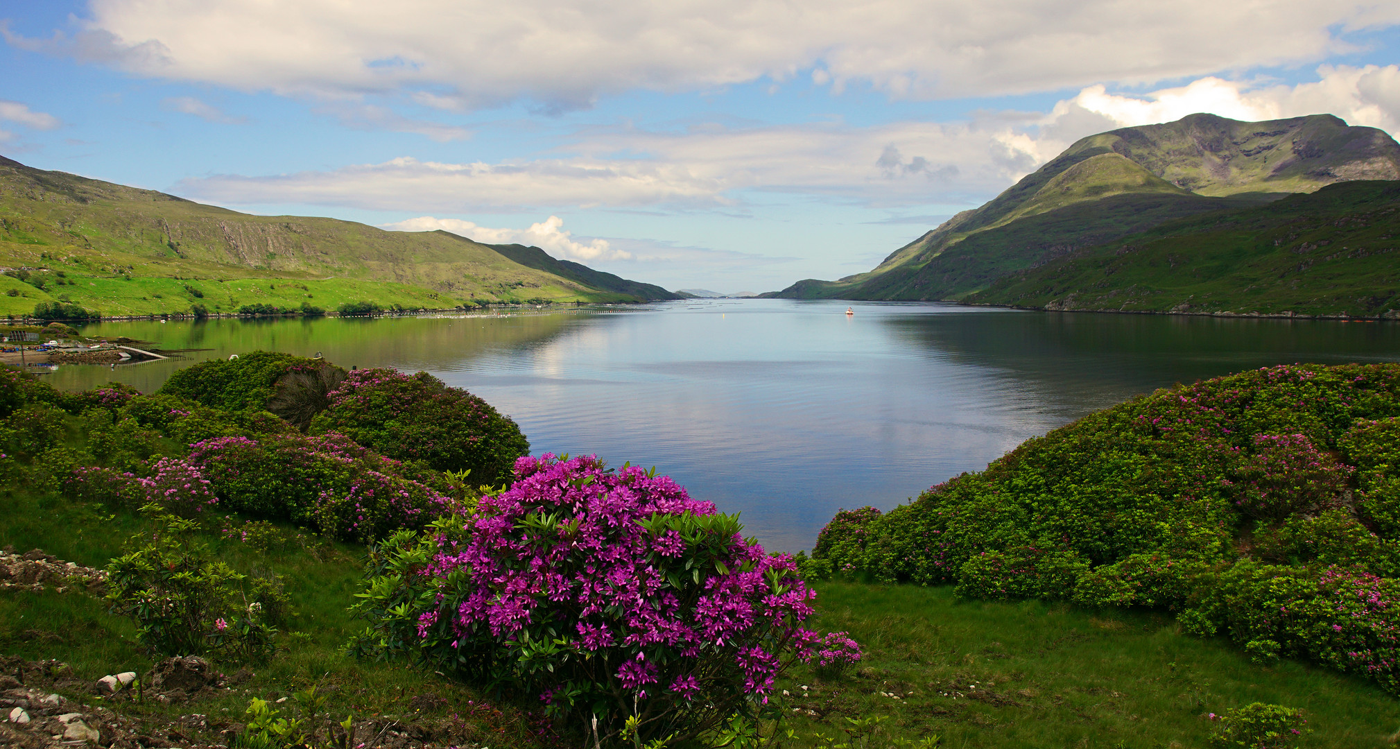 Frühling in Connemara