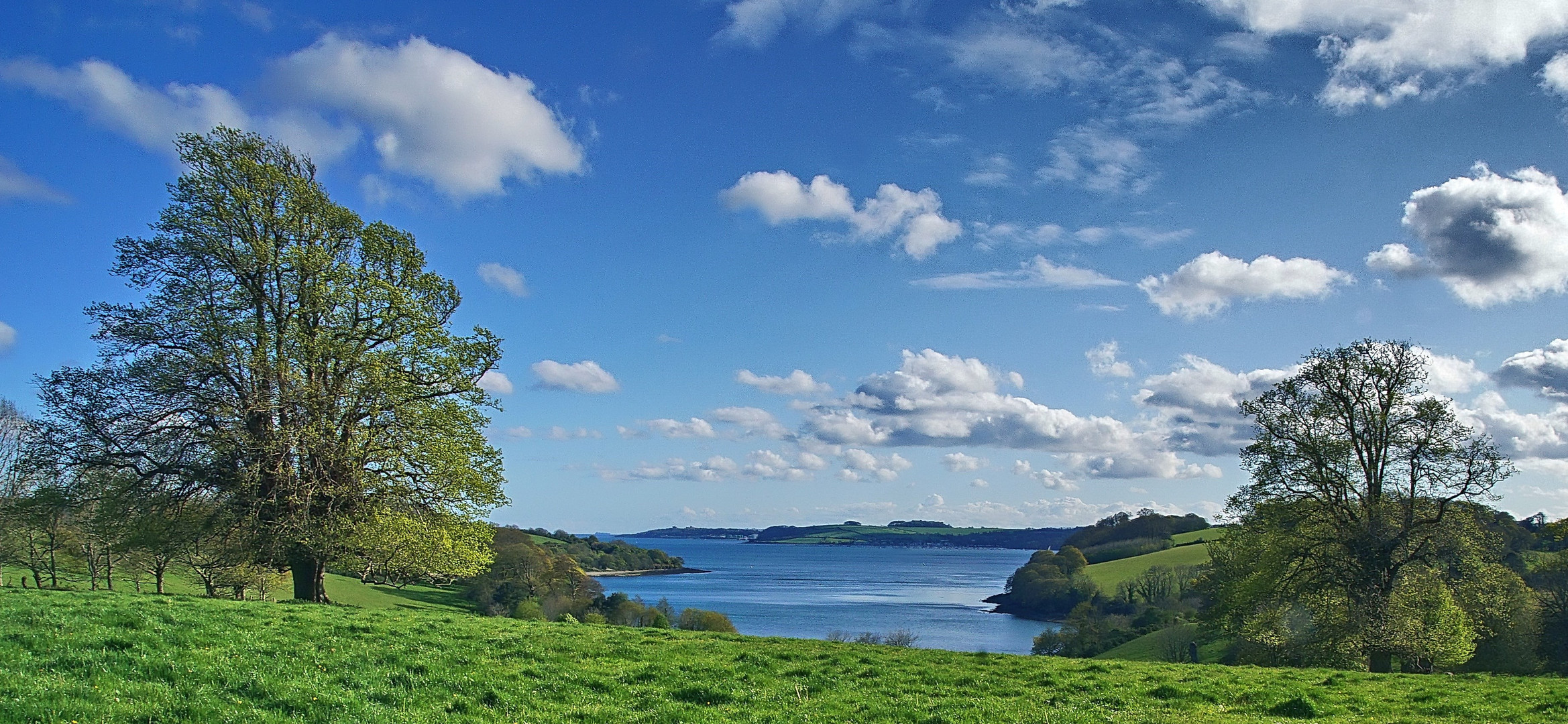 Frühling in Cornwall 