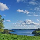 Frühling in Cornwall 