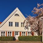 Frühling in Cuxhaven