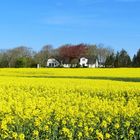 Frühling in Dänemark