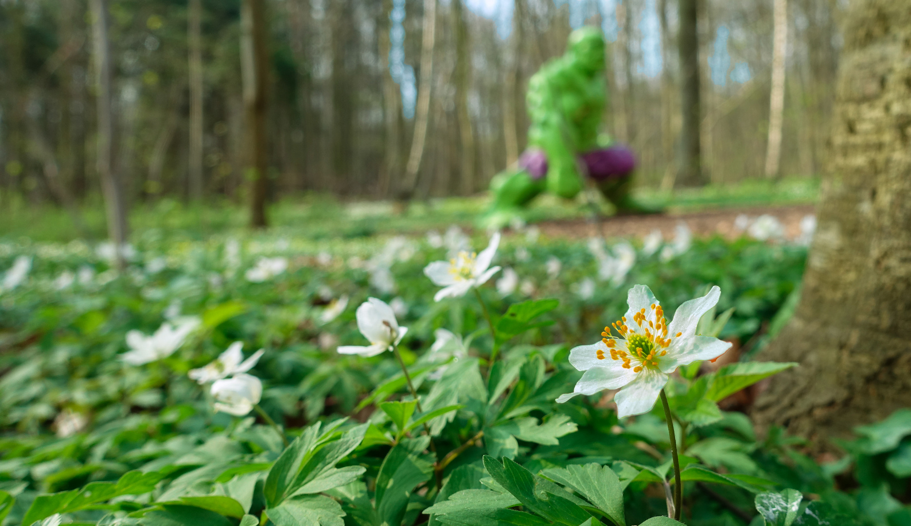 Frühling in Dänemark - Grün wie Hulk