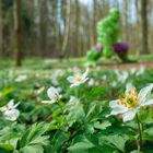 Frühling in Dänemark - Grün wie Hulk