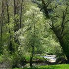 Frühling in den Abruzzen