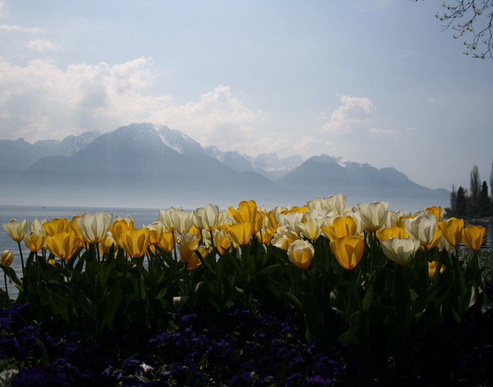 Frühling in den Alpen