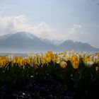 Frühling in den Alpen