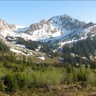 Frühling in den Alpen