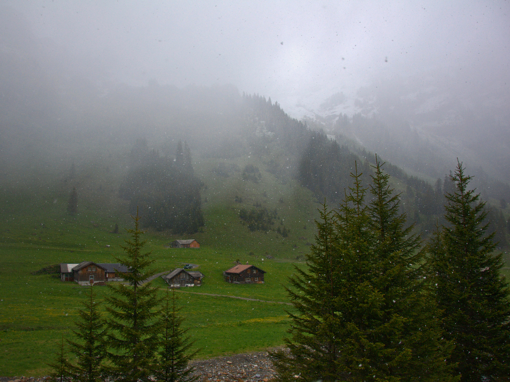 Frühling in den Alpen