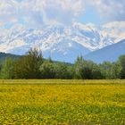 Frühling in den Alpen