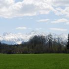 Frühling in den Alpen