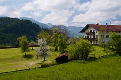 Frühling in den Bergen (1)