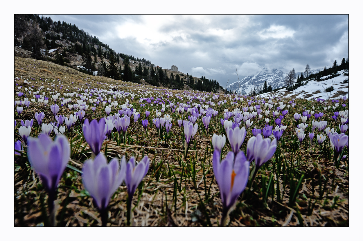 Frühling in den Bergen