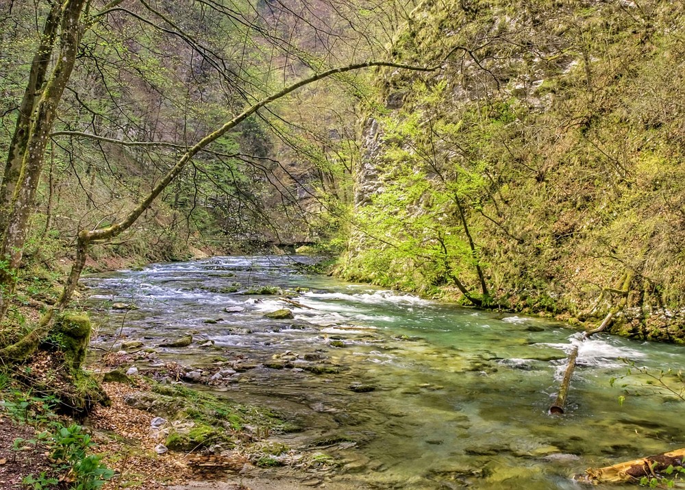 Frühling in den Bergen