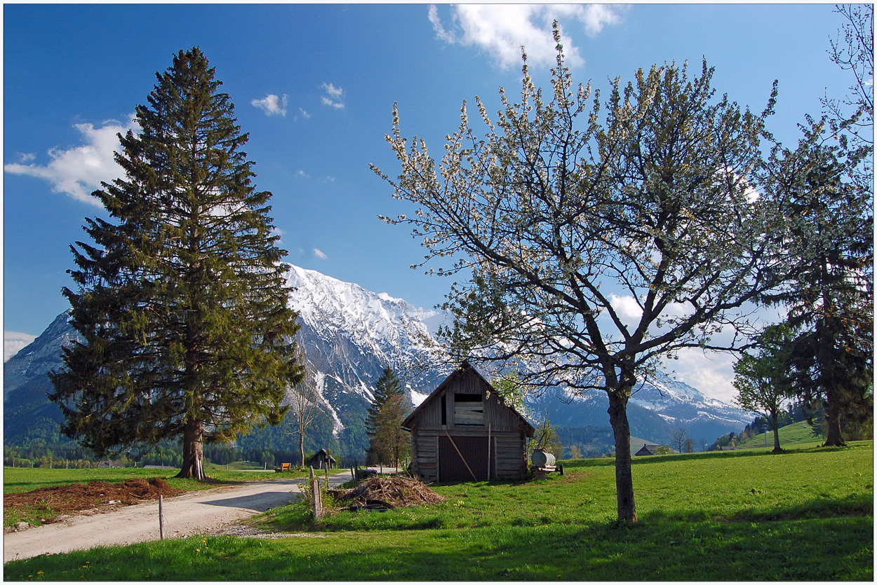 Frühling in den Bergen (2) - 2008