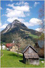 Frühling in den Bergen - 2008