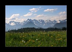 Frühling in den Bergen