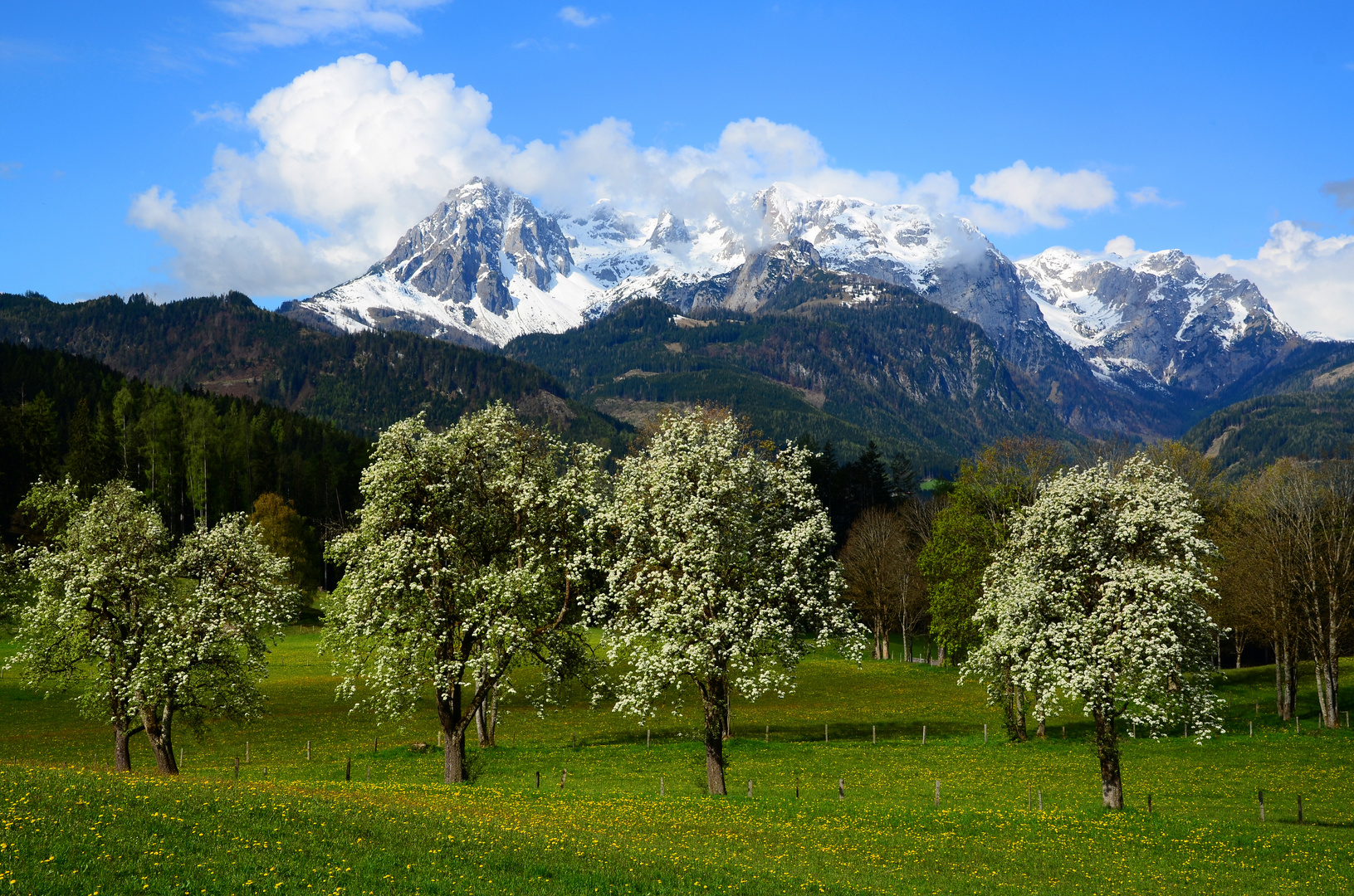 Frühling in den Bergen