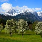 Frühling in den Bergen