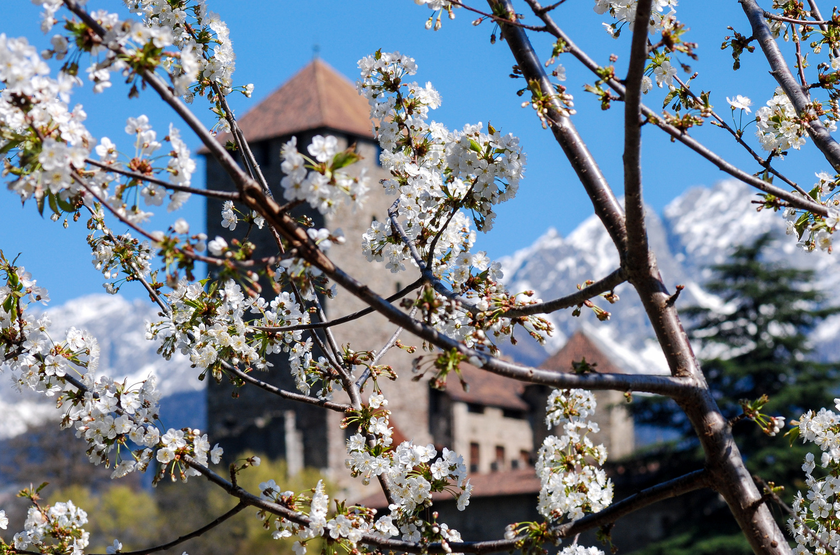 Frühling in den Bergen